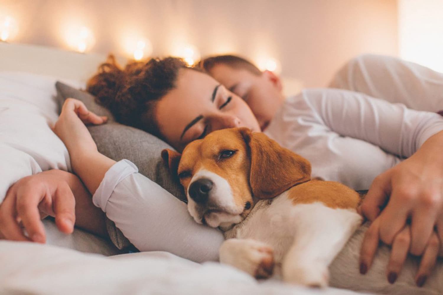 1 in 3 Brits not having sex due to pets in bed – My Pet Matters