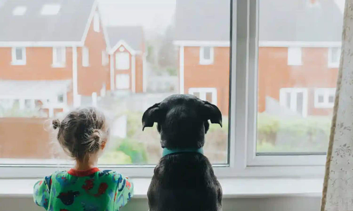 kid and pet looking out the window