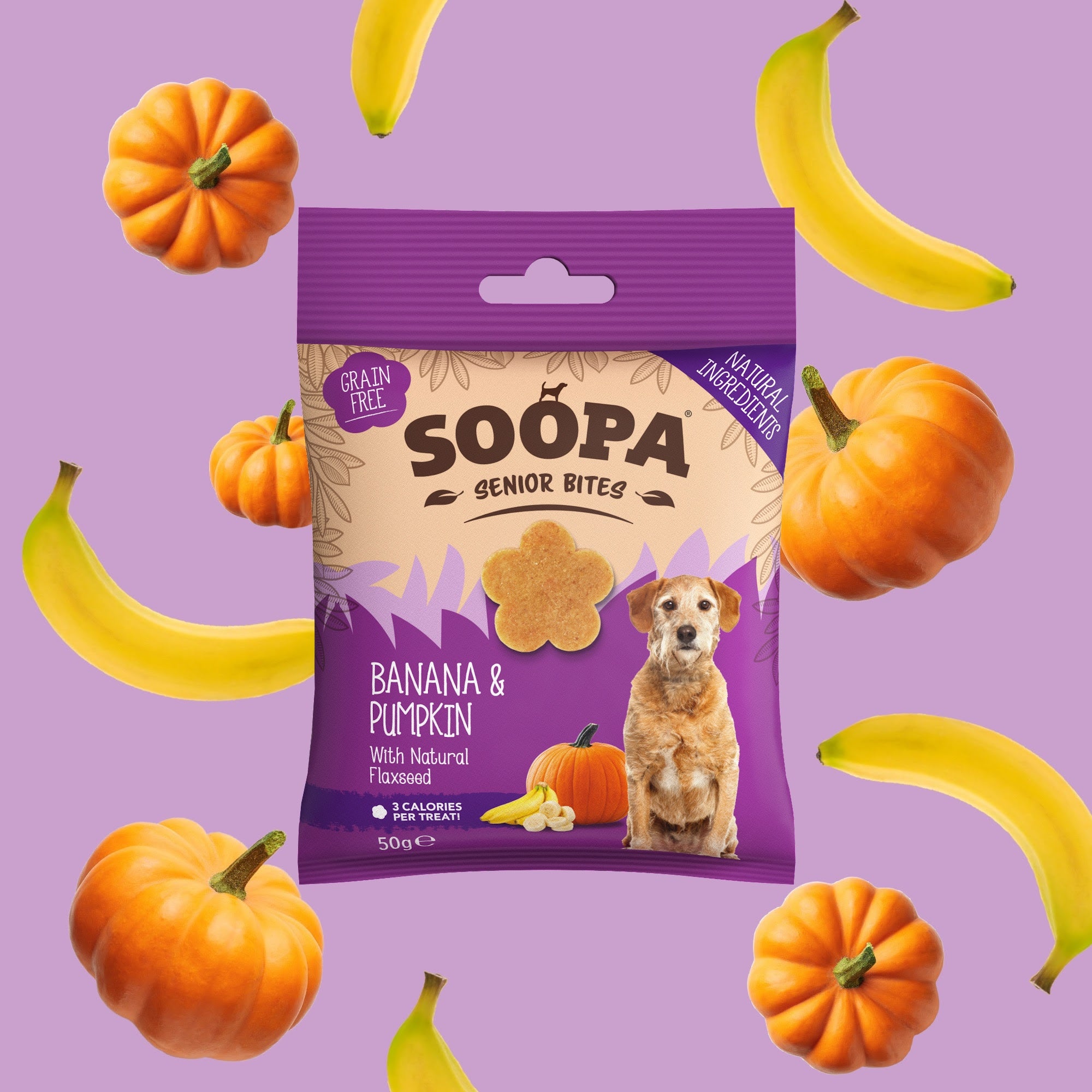 Banana, Pumpkin & Flaxseed Healthy Bites for Senior Dogs ★★★★★ – My Pet ...