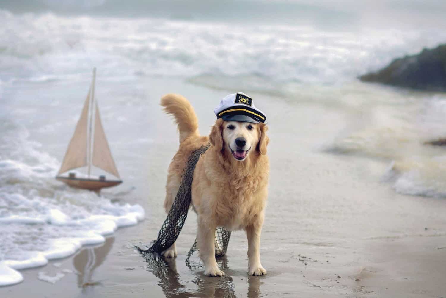 best beach walks