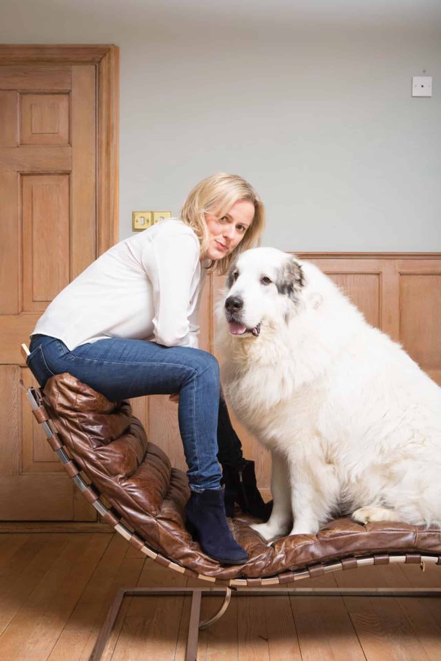 BigDog