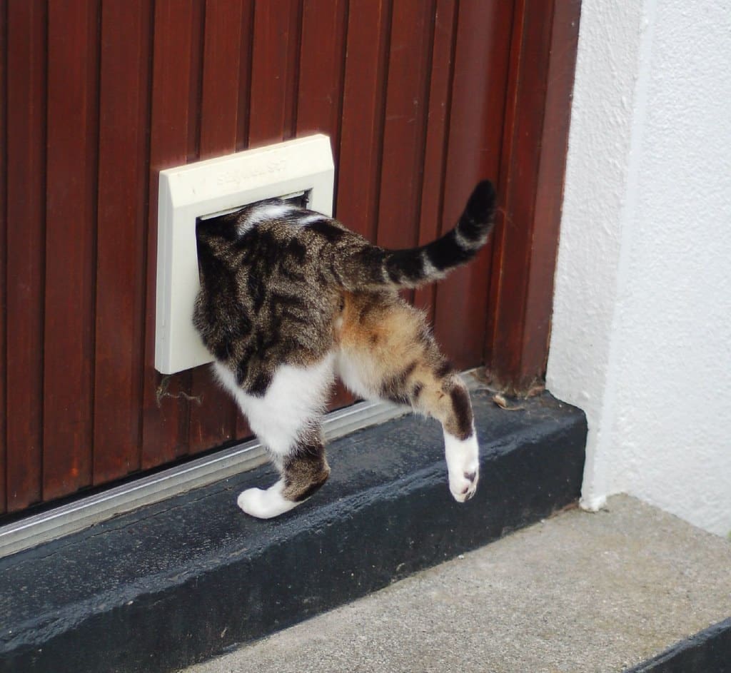 Cat Flap