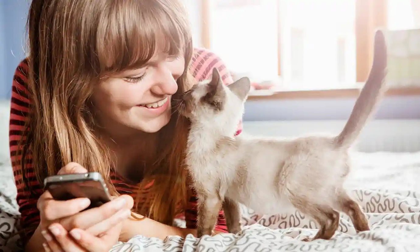 Purring, parasites and pure love: What exactly makes someone a cat person?