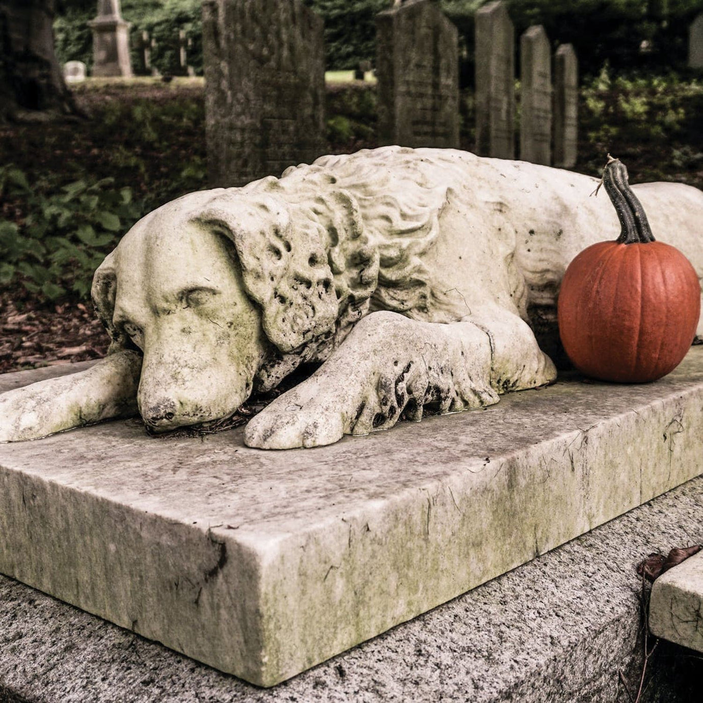 pet cemeteries