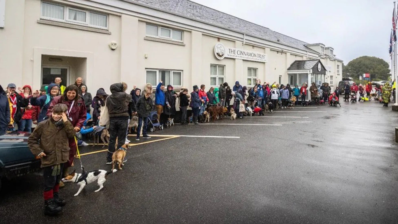 Dog owners stride out for walkies to help charity