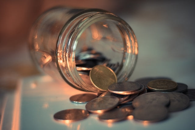 Six tips to save money while still caring for your pet - advice from the RSPCA