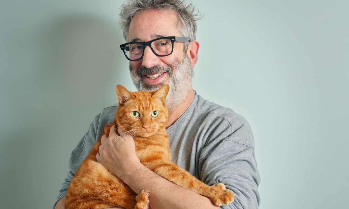 David Baddiel