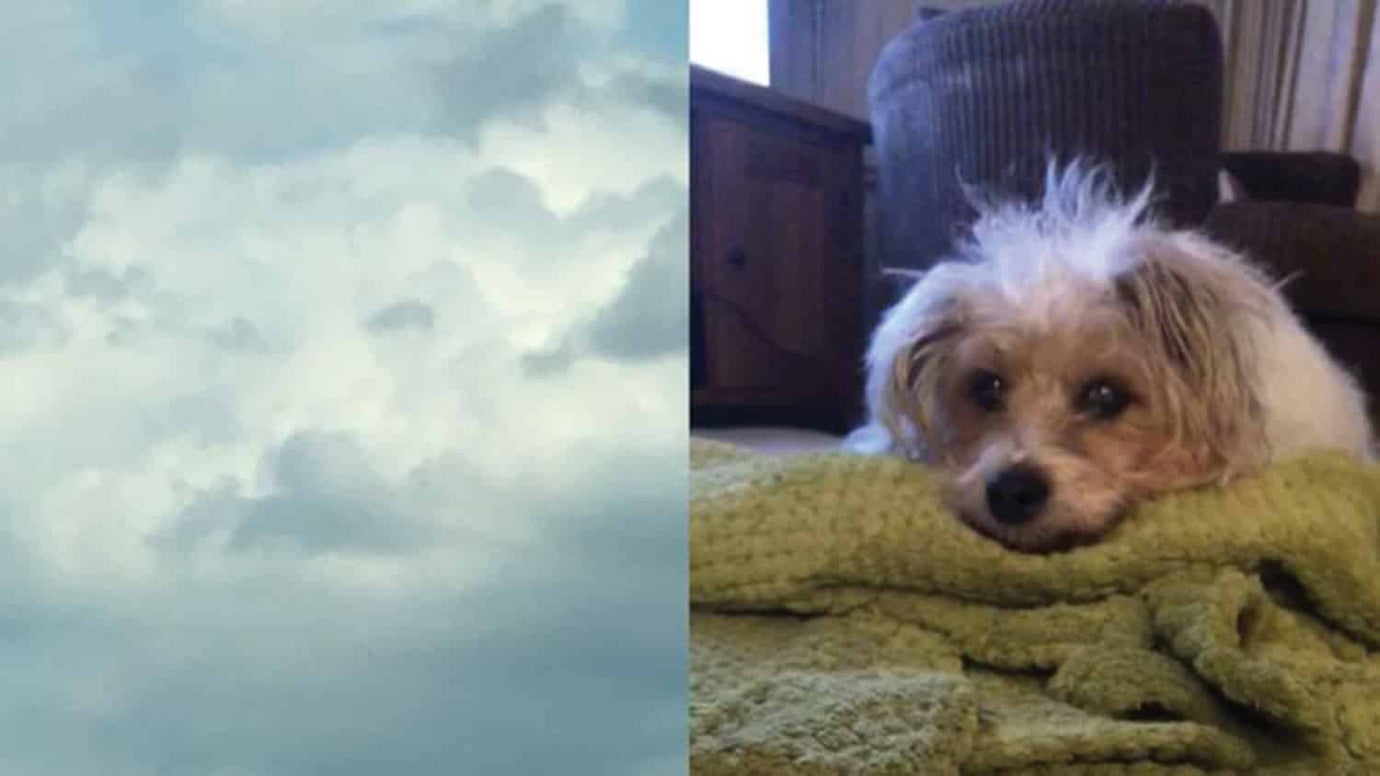 face in clouds