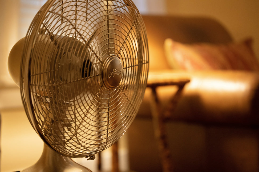 Top tips for keeping your pets cool – and safe – in summer