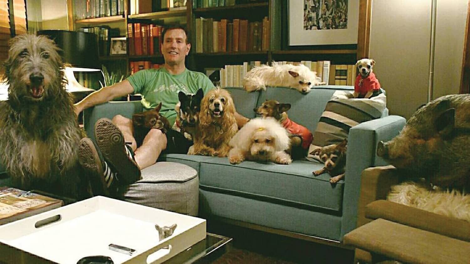 Dog Adopter