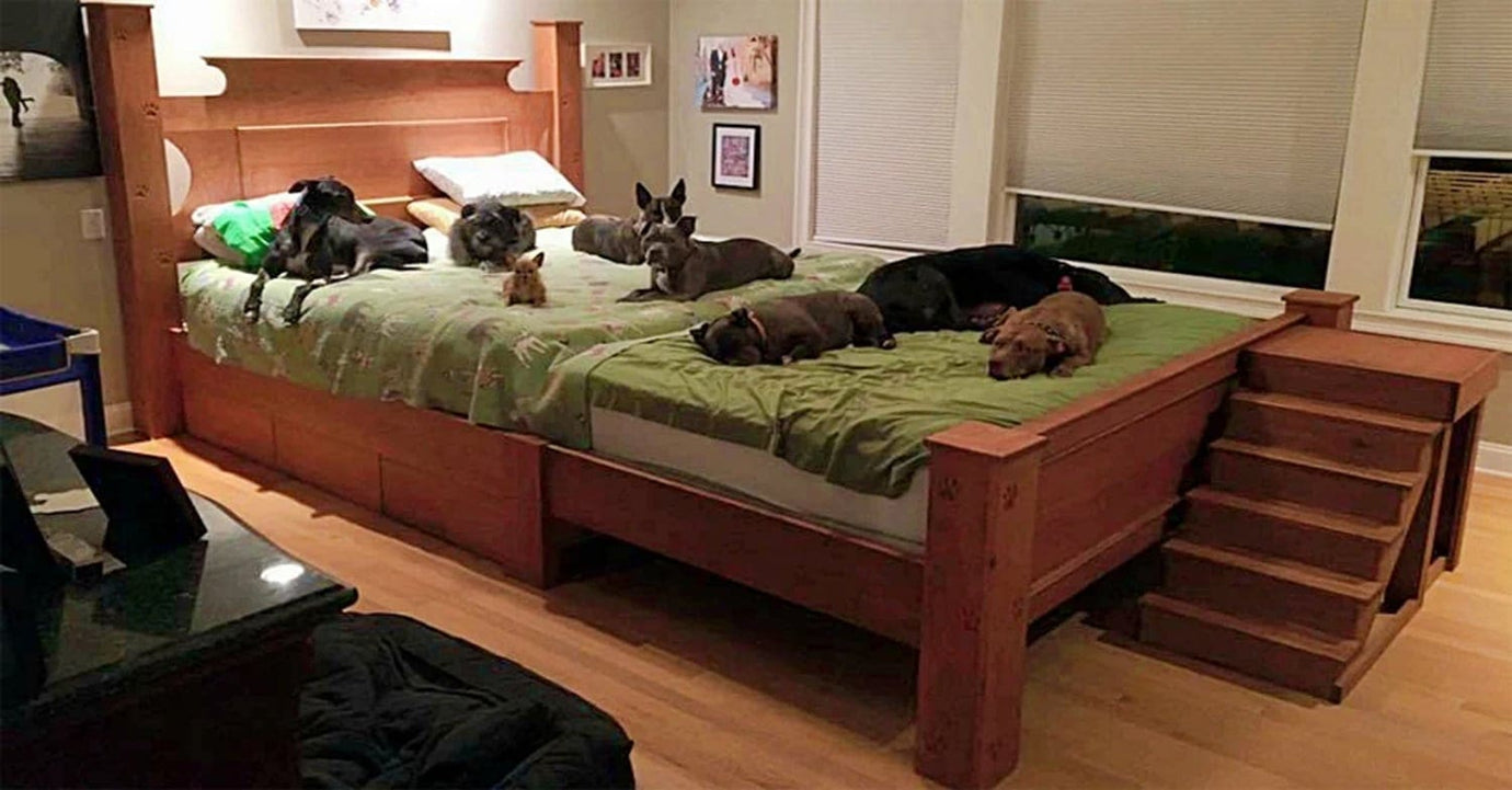 couple builds giant bed