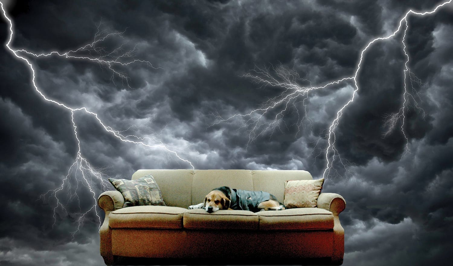 thunder
