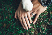 dog paw on couple of hands