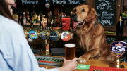 best pub for pooches