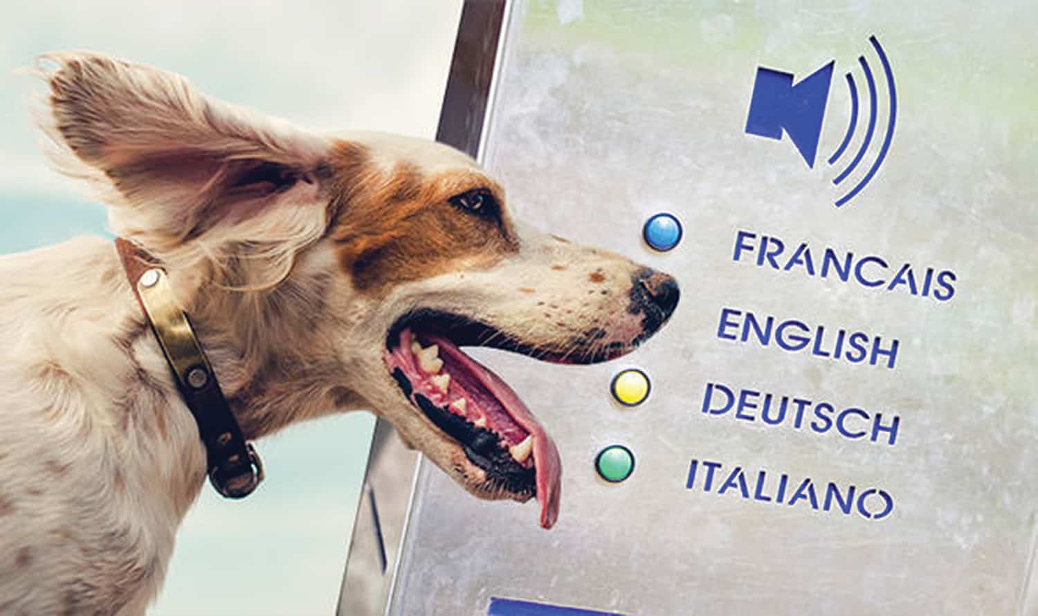 pet translators