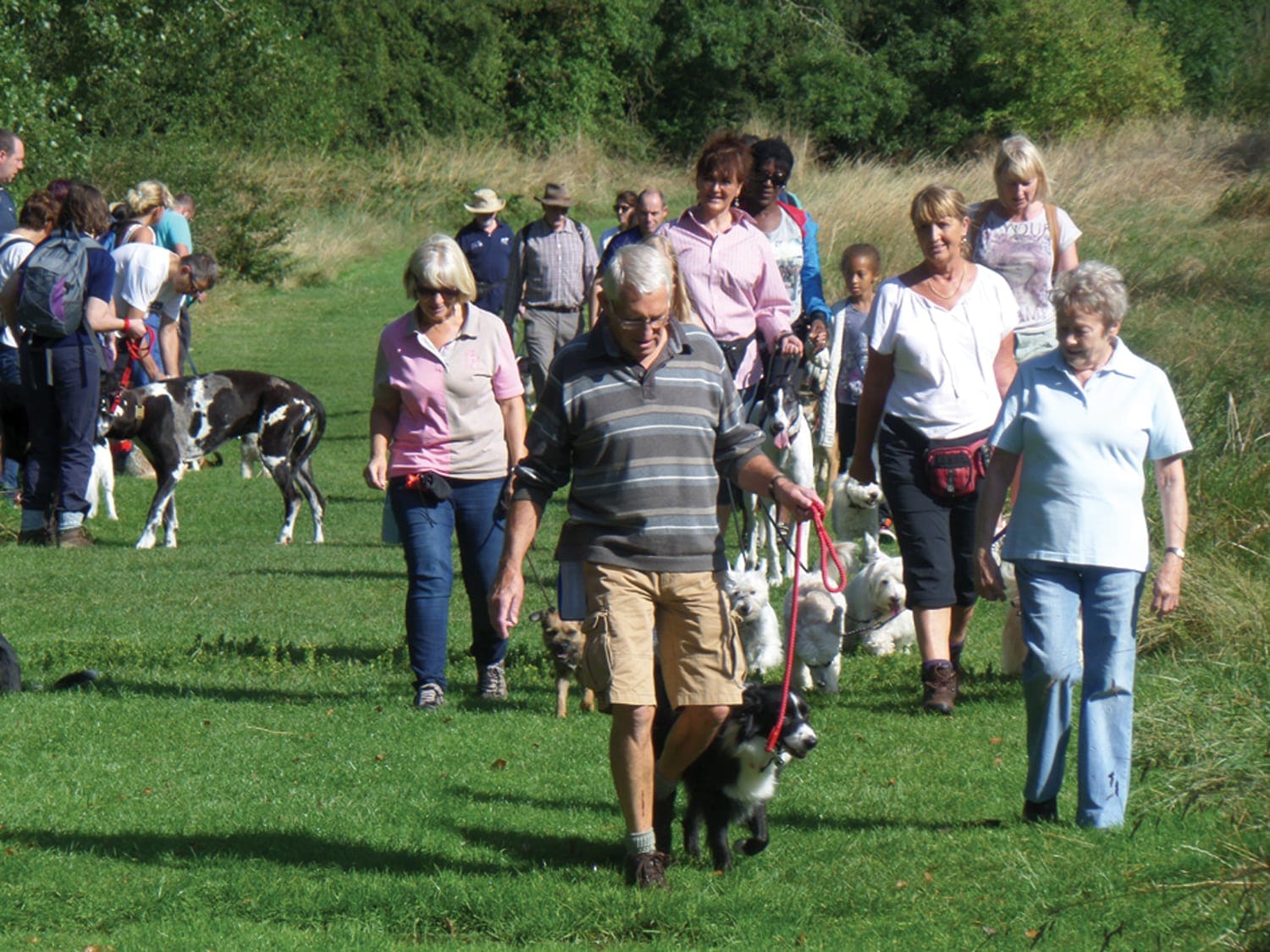 dog-walking