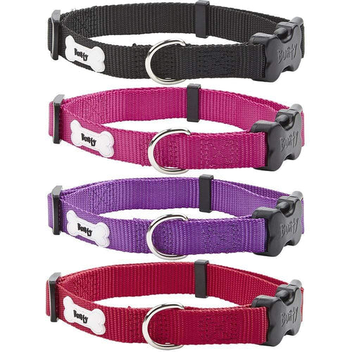 Nylon Dog Collars: Choosing the Right One for Your Dog