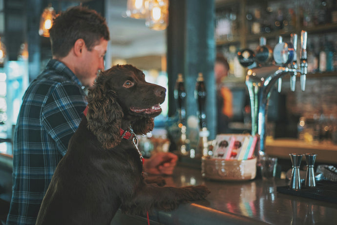 How dog-loving Brits are taking their pets shopping, to restaurants, churches and even to the cinema