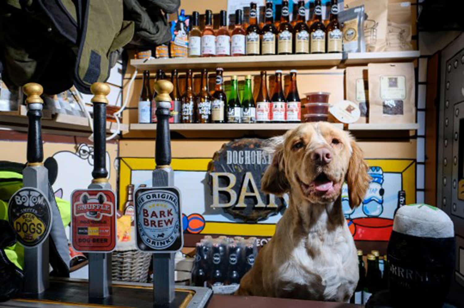 Dog bar