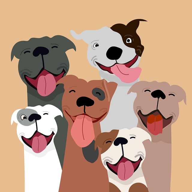 Bridiau Cŵn Gorau 2023: Dyma’r 16 o fridiau cŵn mwyaf poblogaidd ym Mhrydain