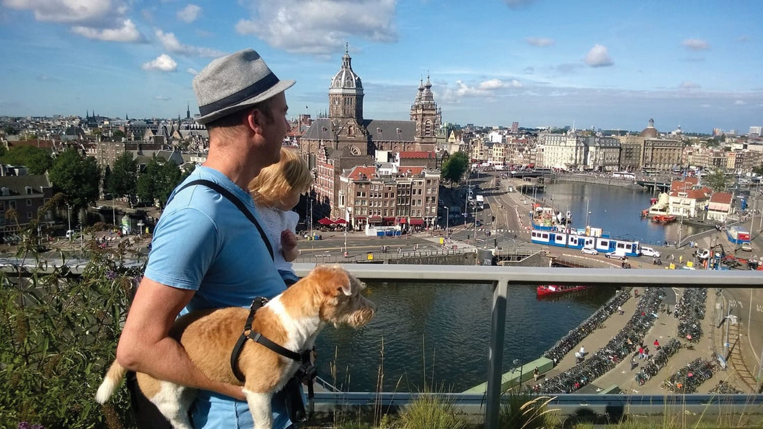 Travelling Through Europe With a Dog: Ultimate Guide for Pet Owners