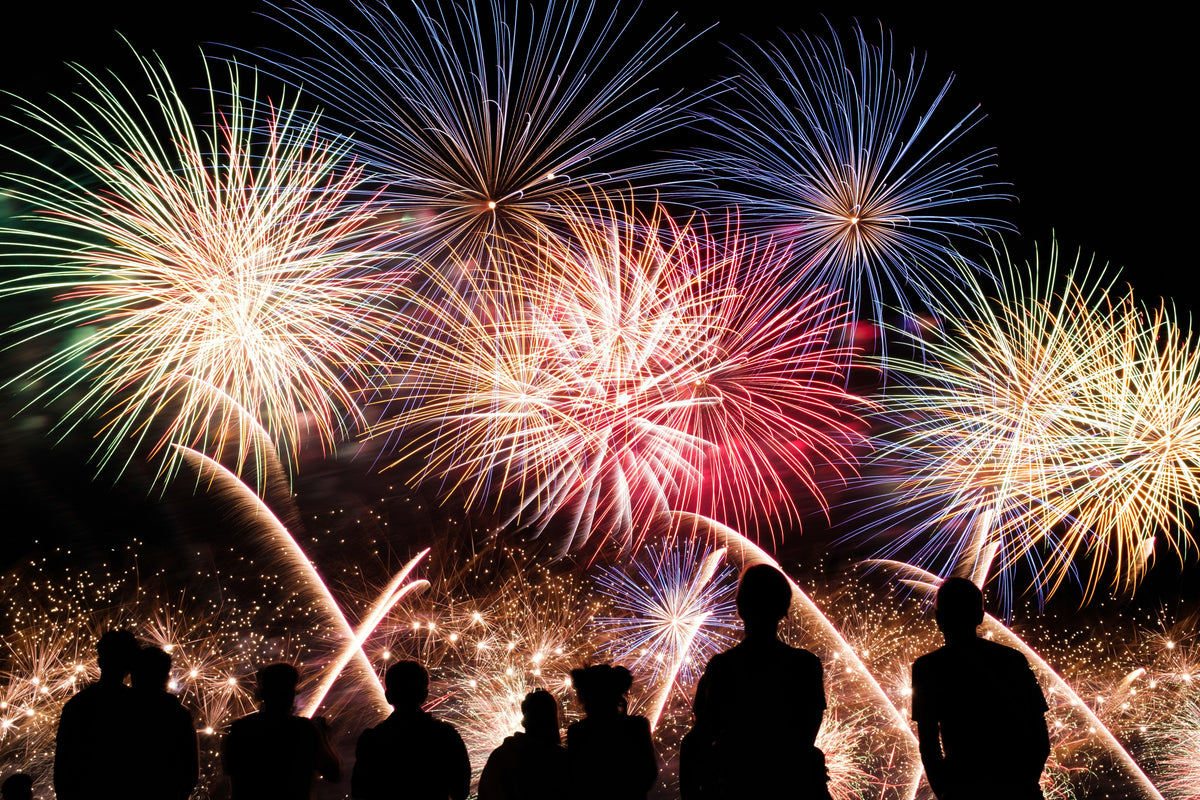 Getting your dog ready for fireworks season