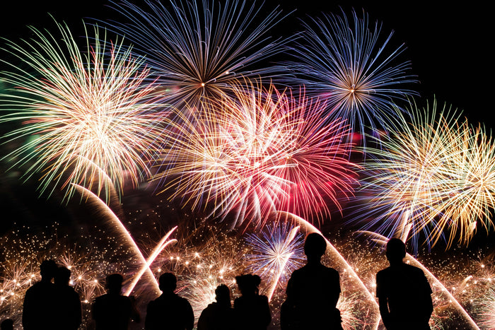 Getting your dog ready for fireworks season