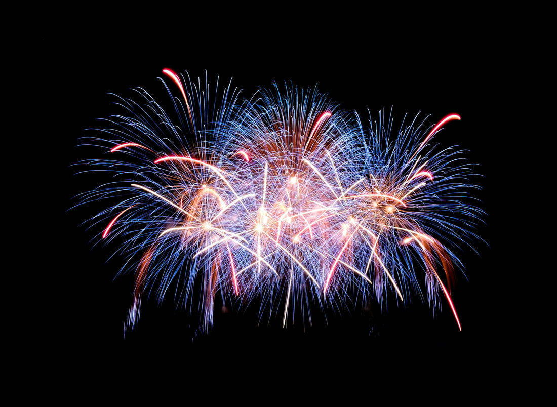 Getting your cat used to firework noises