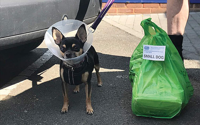 Food bank scheme helps keep pets and people together