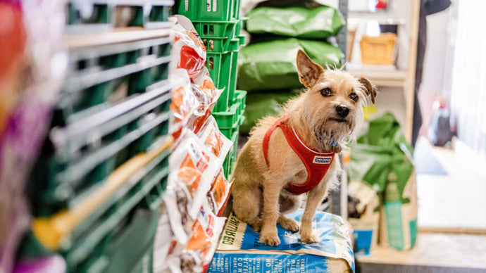 Going to a Blue Cross pet food bank