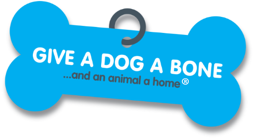 Give a Dog a Bone… and an animal a home