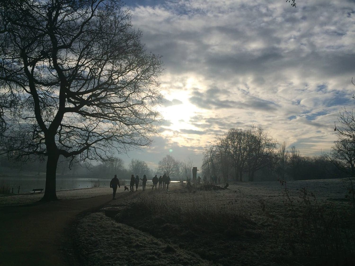 walks