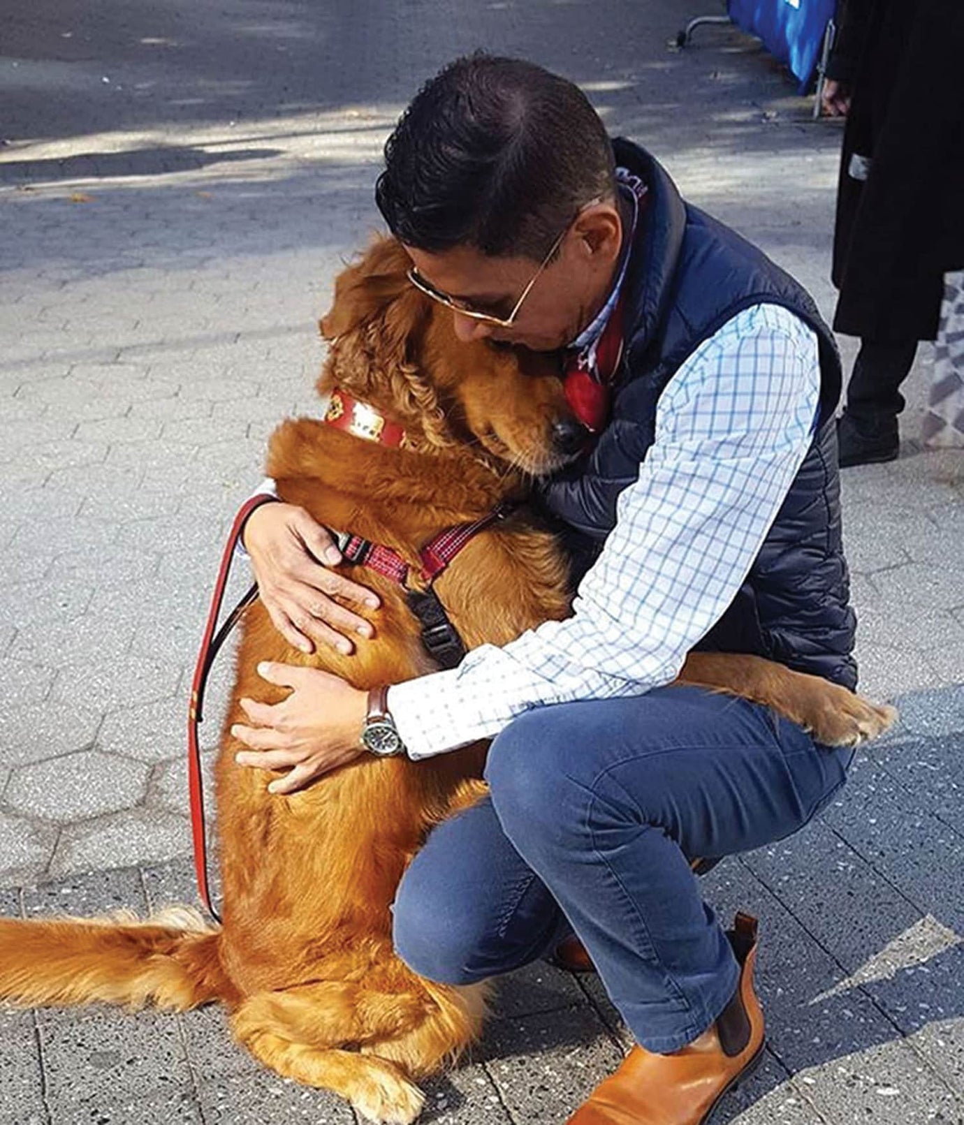 retriever hugging