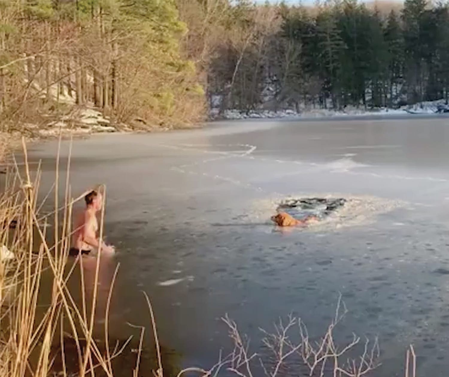 frozen lake rescue