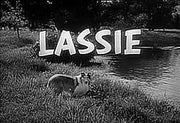 Lassie complex