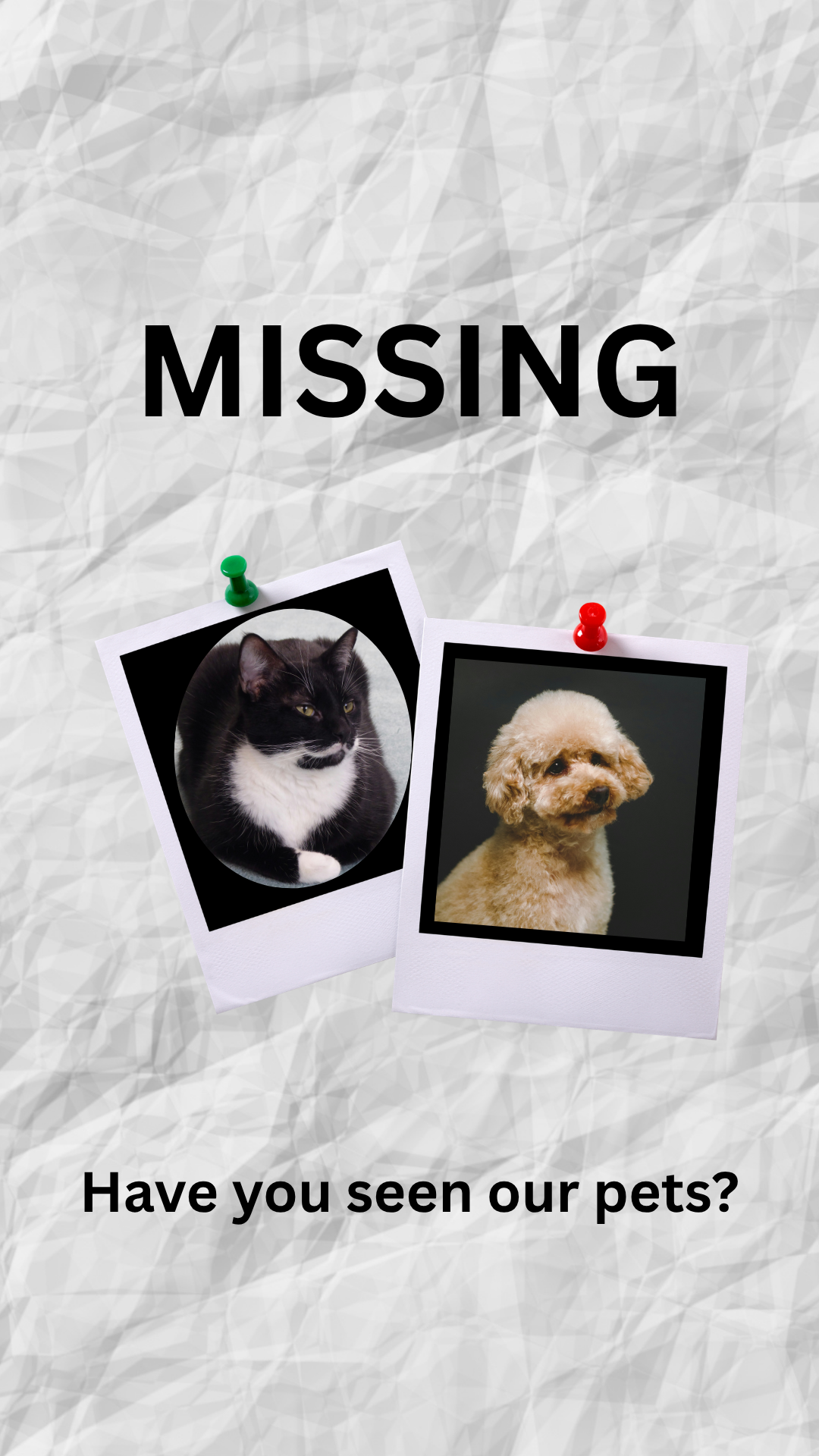 One thing you shouldn’t do if your pet goes missing