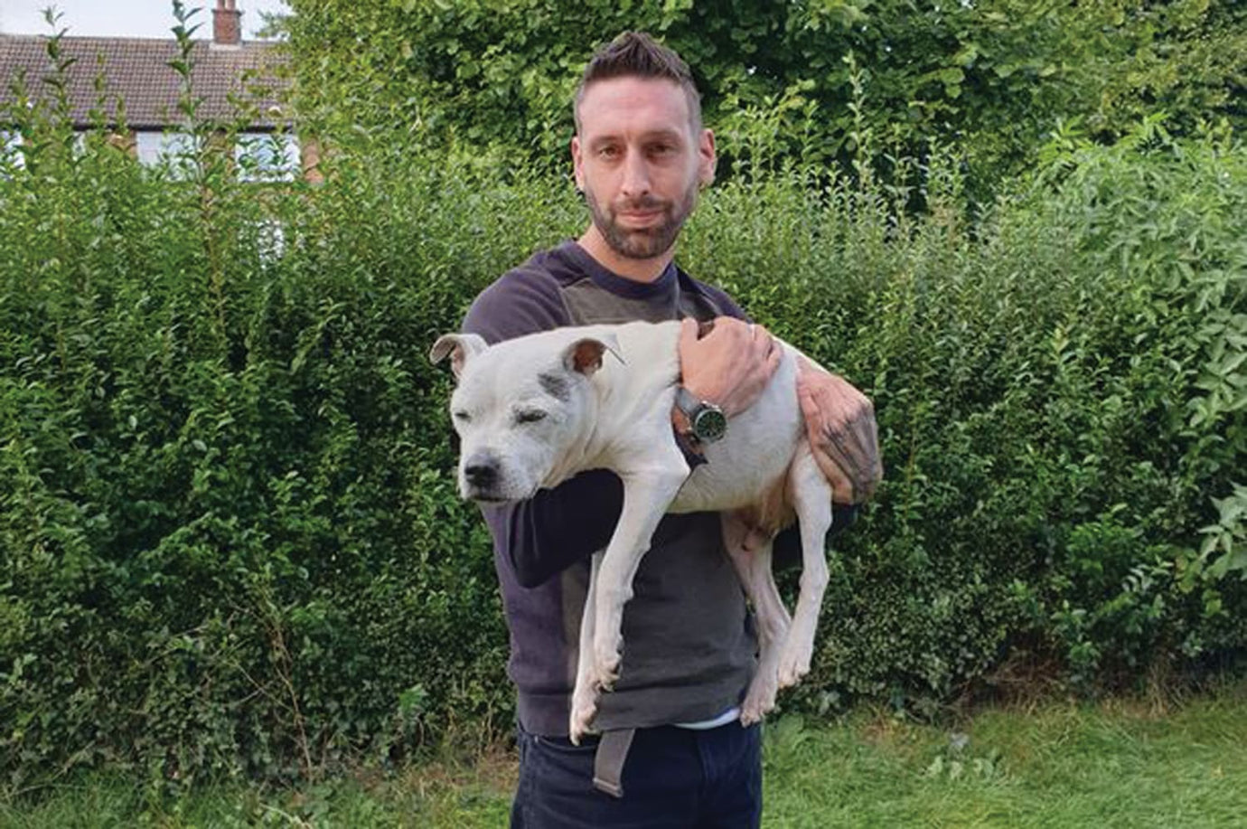 Staffordshire bull terrier with owner in the garden