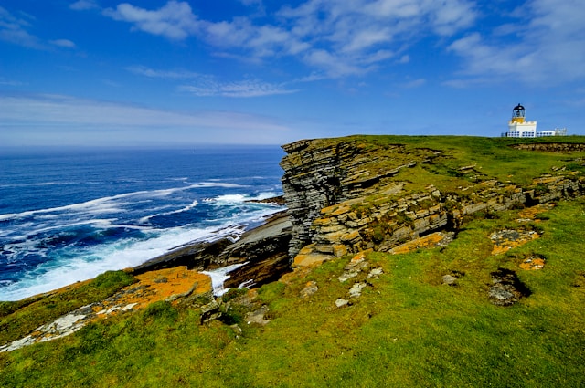 Conservation canines: The four-legged heroes protecting Orkney’s wildlife