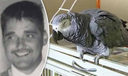 Parrot's Last Words Key in Murder