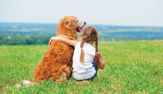 Cwdyn perffaith: Sut i ddewis y ci cyntaf perffaith ar gyfer plentyn hŷn