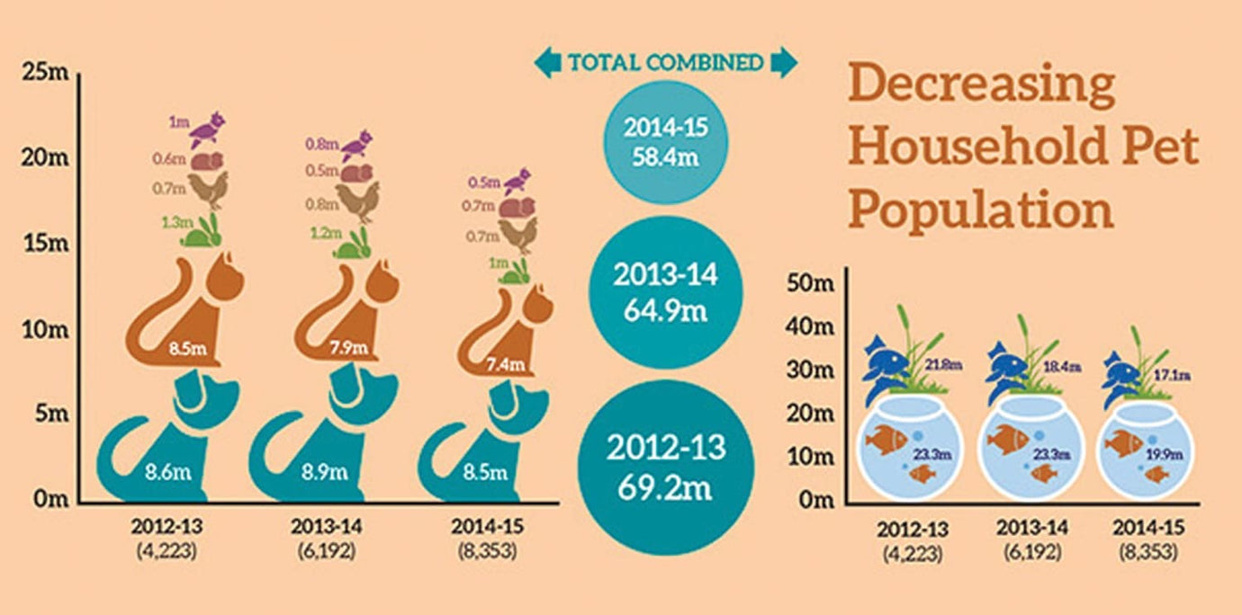 Pet Survey  infographic