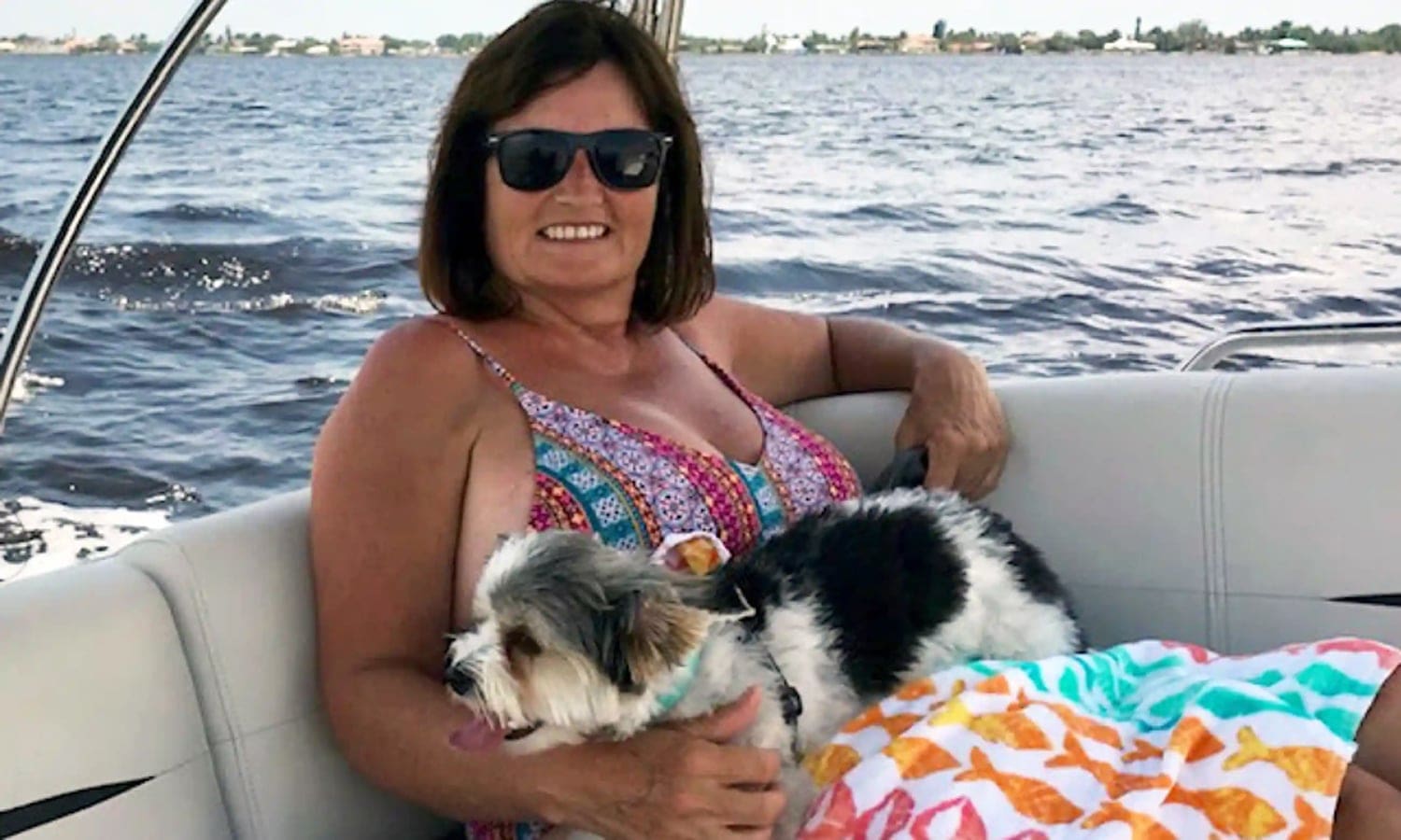 international pet-sitter