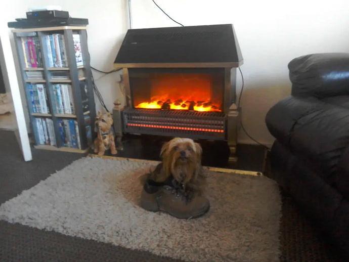 Pippa foirfe. Lúnasa 2022