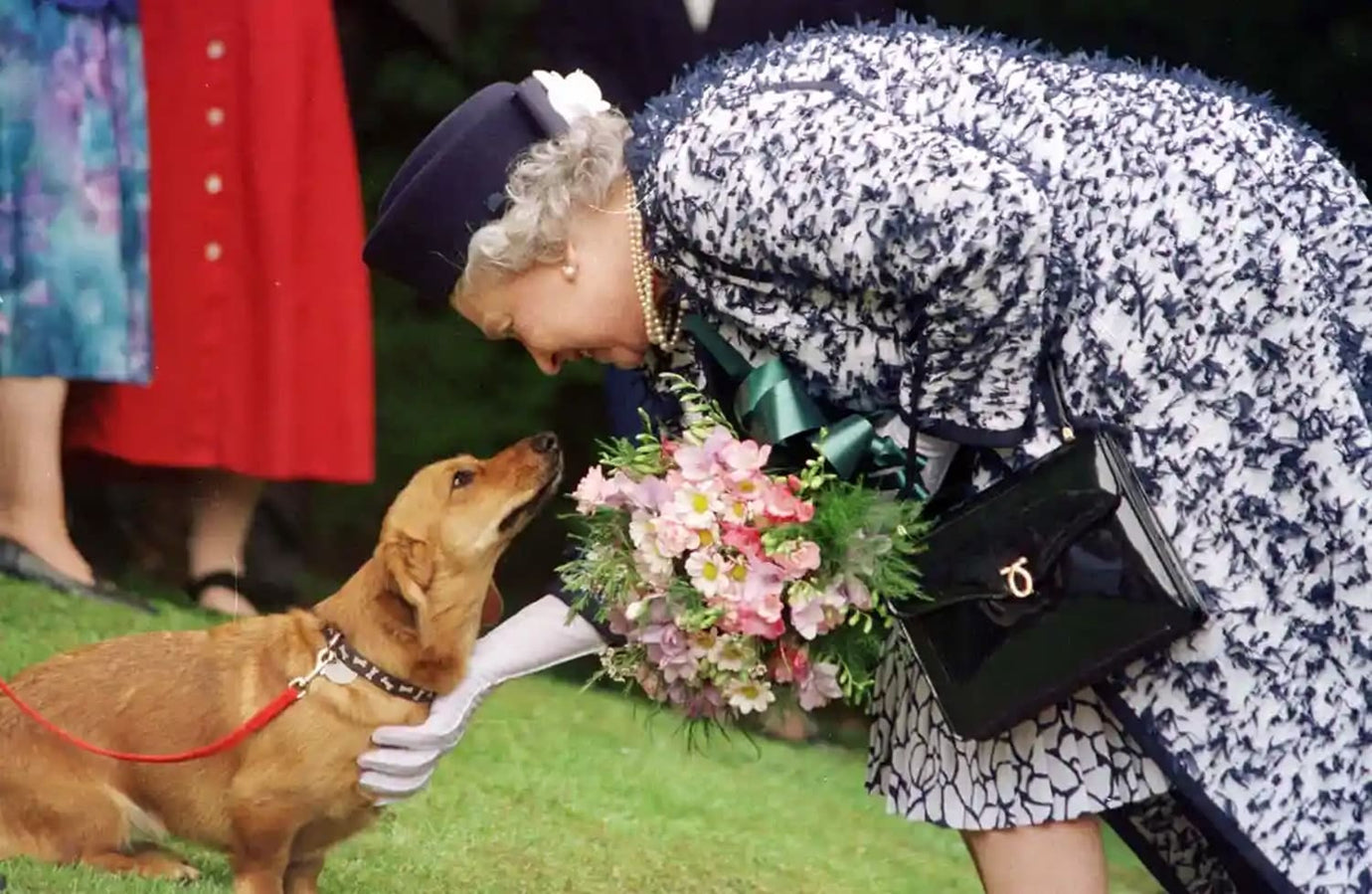 Queen's Corgis