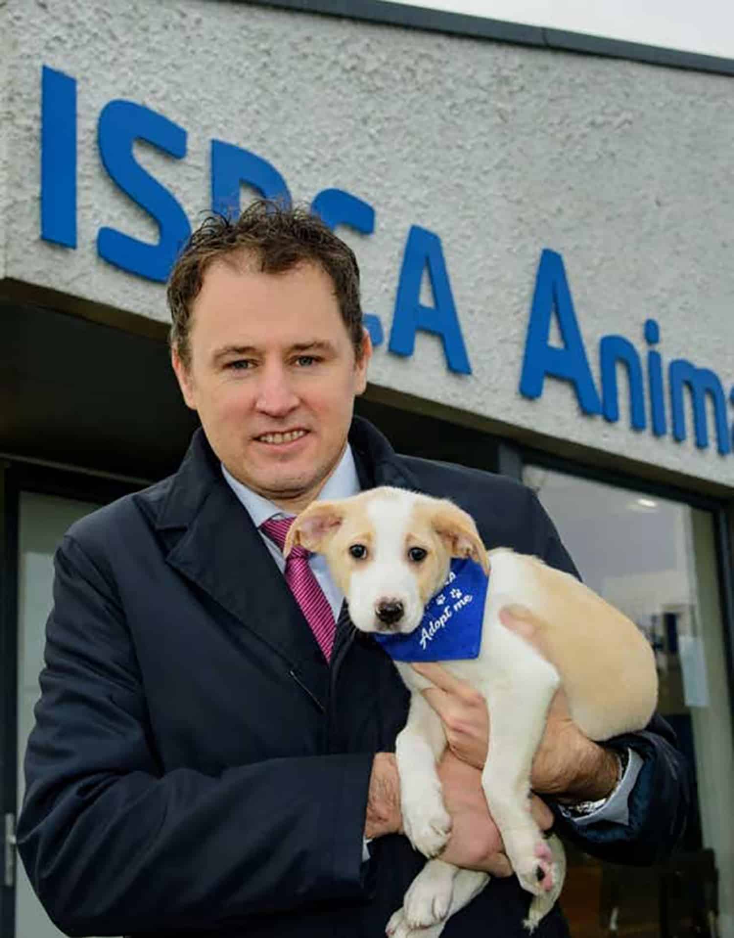 Refugee Pets