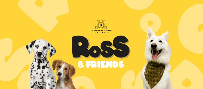 The bizarre UK ‘Disneyland for dogs’ with splash park, attractions and treasure trails