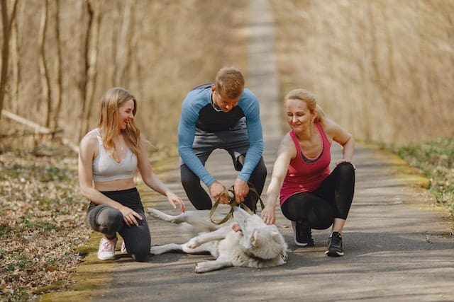 3 people with a dog in the forest