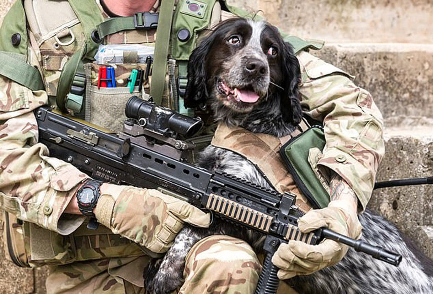 Sas Dog handler