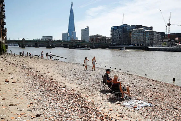 Snakes on the Thames! Exotic pets wild in London