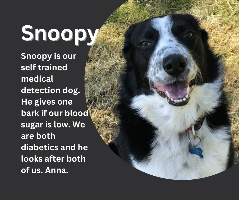 Woofs and wearables: The best pet tech for animal lovers
